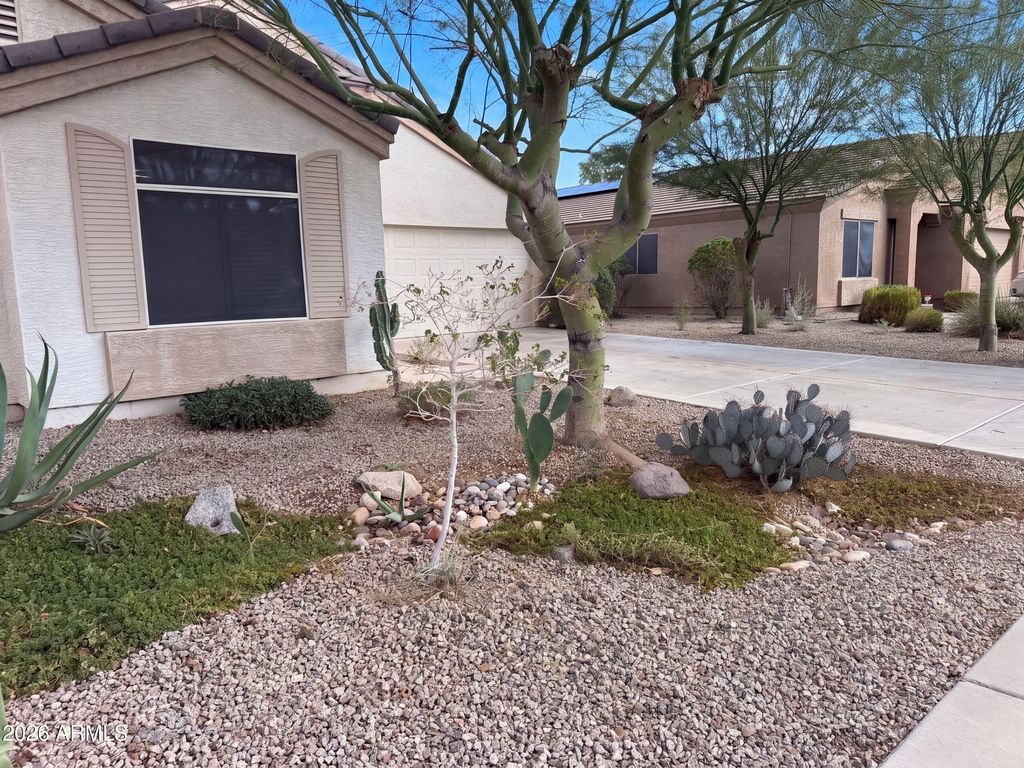 14521 N 126TH Avenue, El Mirage, AZ 85335 — photo 4