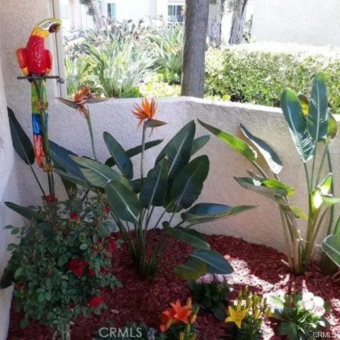 25182 Via Catalina, Laguna Niguel, CA 92677