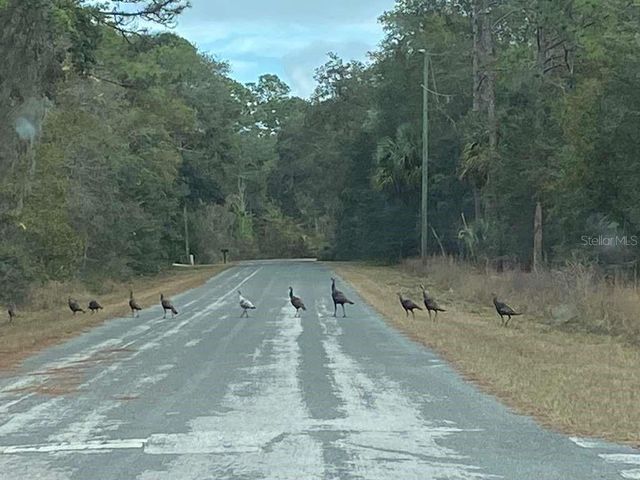 5636 W JUNIOR LANE, Dunnellon, FL 34433