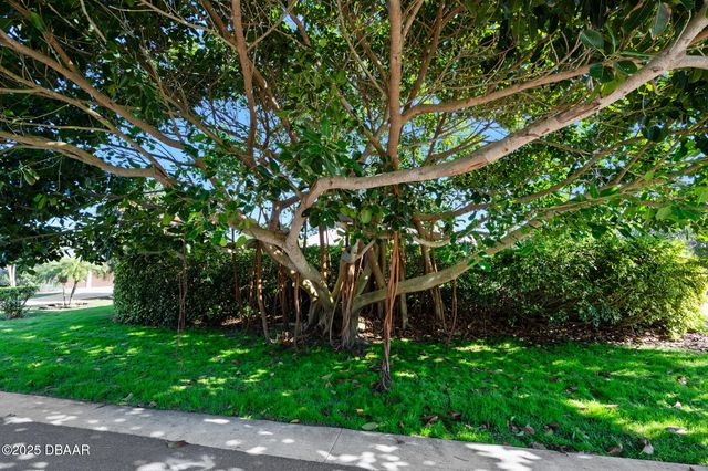 114 Ponce De Leon Circle, Ponce Inlet, FL 32127