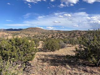 Lot 94 Abbe Springs Ranches, Magdalena, NM 87825