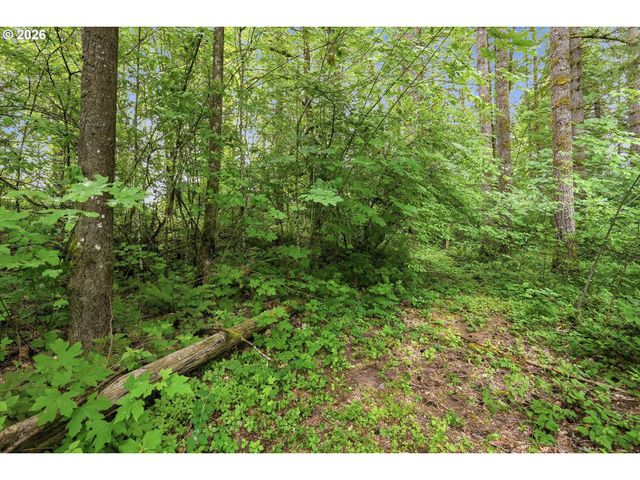 21090 Nw DAIRY CREEK Rd, North Plains, OR 97133