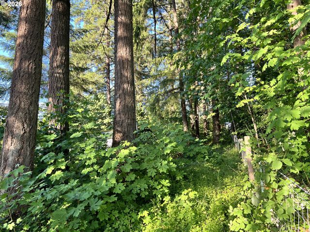21090 Nw DAIRY CREEK Rd, North Plains, OR 97133
