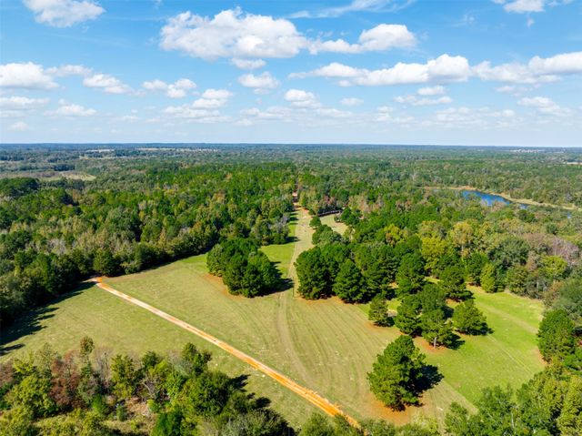 9444 FM 314, Ben Wheeler, TX 75754