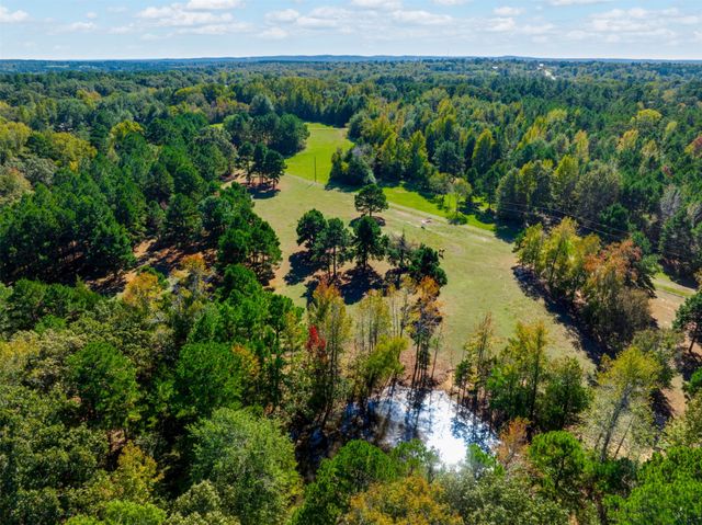 9444 FM 314, Ben Wheeler, TX 75754