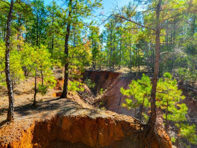 9444 FM 314, Ben Wheeler, TX 75754