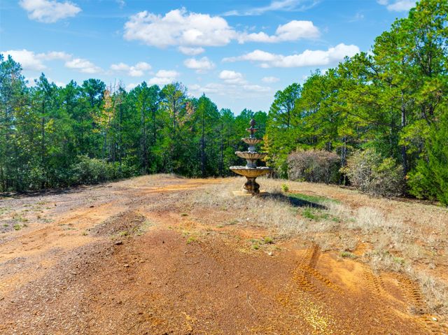 9444 FM 314, Ben Wheeler, TX 75754