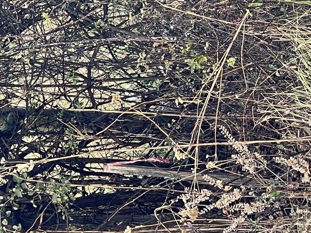 0 Burks Hill RD, Bedford, VA 24523