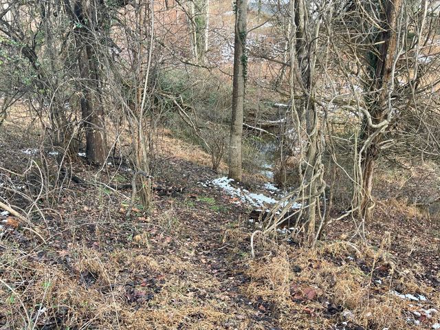 0 Burks Hill RD, Bedford, VA 24523