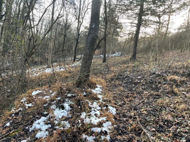 0 Burks Hill RD, Bedford, VA 24523