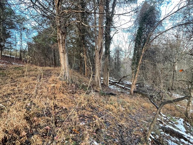 0 Burks Hill RD, Bedford, VA 24523