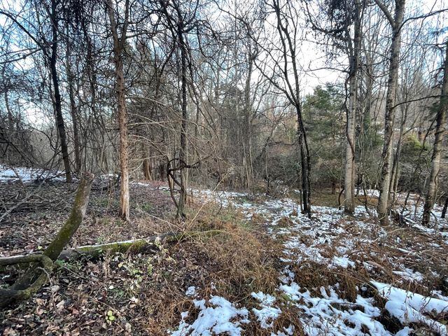 0 Burks Hill RD, Bedford, VA 24523