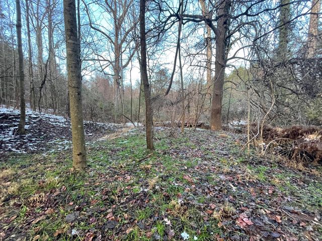 0 Burks Hill RD, Bedford, VA 24523