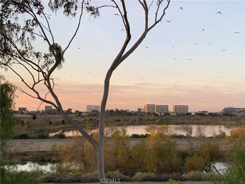 311 Stanford Court, Irvine, CA 92612