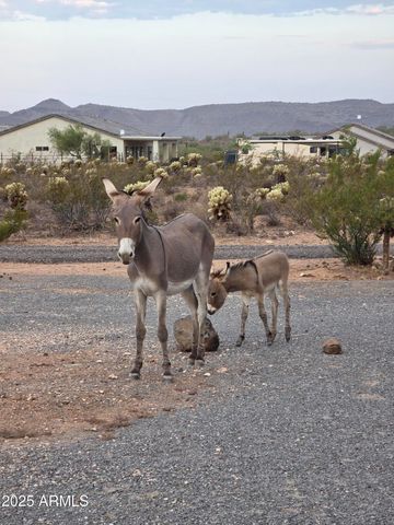 4143 W SUNSET Drive W, New River, AZ 85087