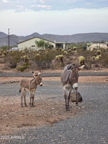 4143 W SUNSET Drive W, New River, AZ 85087