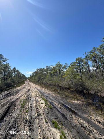 Lot 316 Columbus Road, Southport, NC 28461