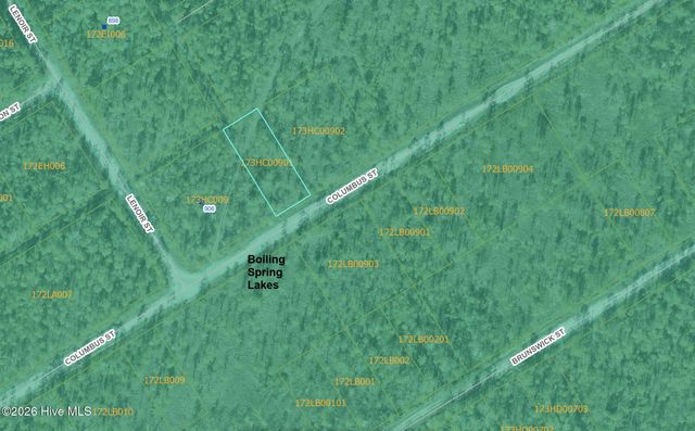 Lot 316 Columbus Road, Southport, NC 28461