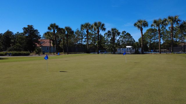 158 Anhinga Trail, Carrabelle, FL 32322