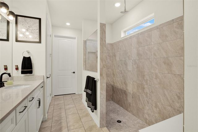 19234 MOSSY PINE DRIVE, Tampa, FL 33647