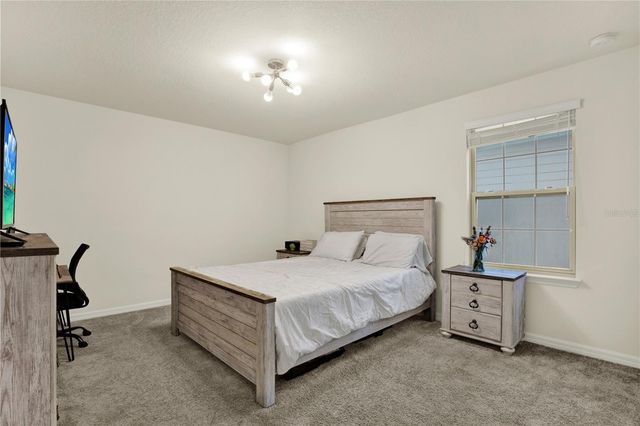 19234 MOSSY PINE DRIVE, Tampa, FL 33647