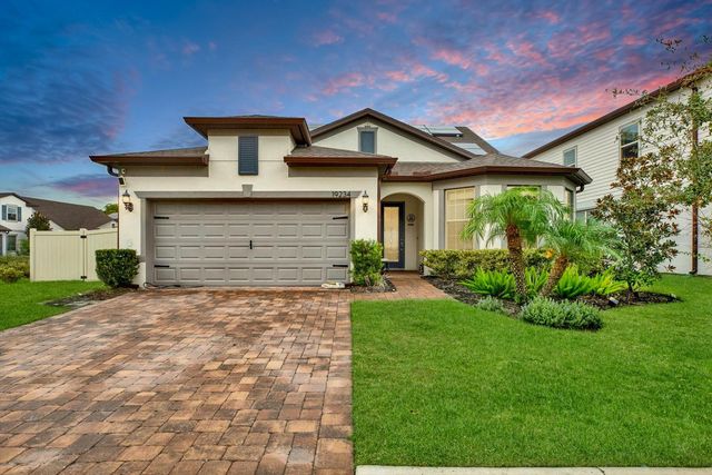 19234 MOSSY PINE DRIVE, Tampa, FL 33647