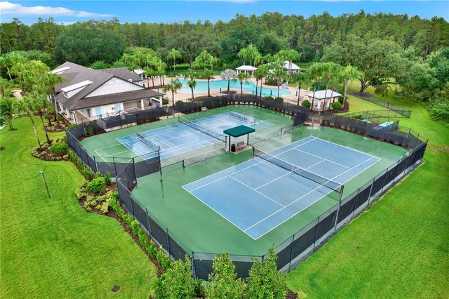19234 MOSSY PINE DRIVE, Tampa, FL 33647