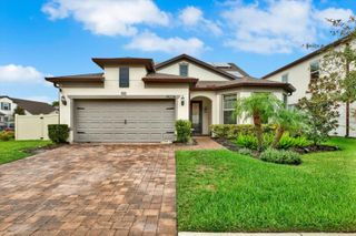 19234 MOSSY PINE DRIVE, Tampa, FL 33647
