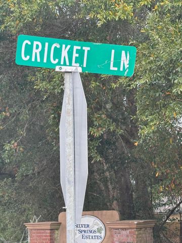 1.3 Acres Cricket Lane, Crestview, FL 32539