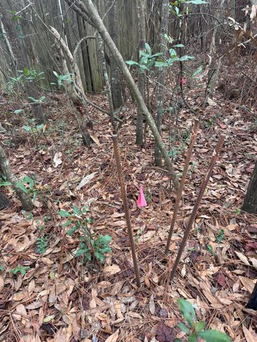 1.3 Acres Cricket Lane, Crestview, FL 32539