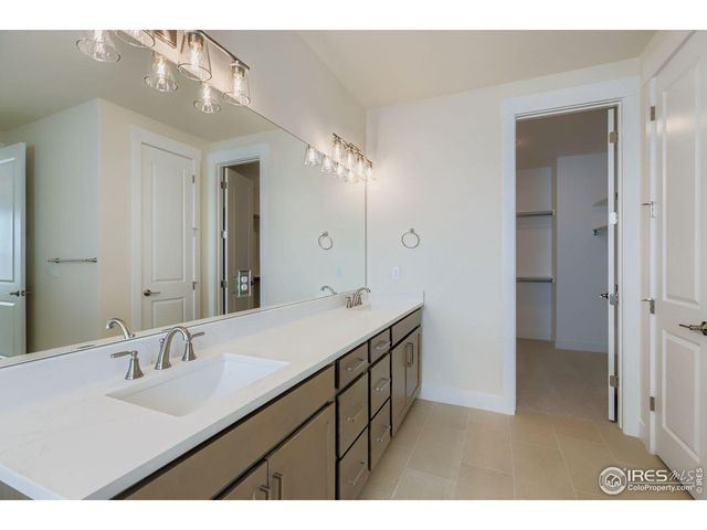 1829 Flourish Dr, Windsor, CO 80550