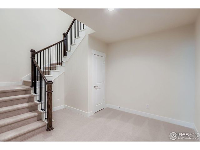 1829 Flourish Dr, Windsor, CO 80550