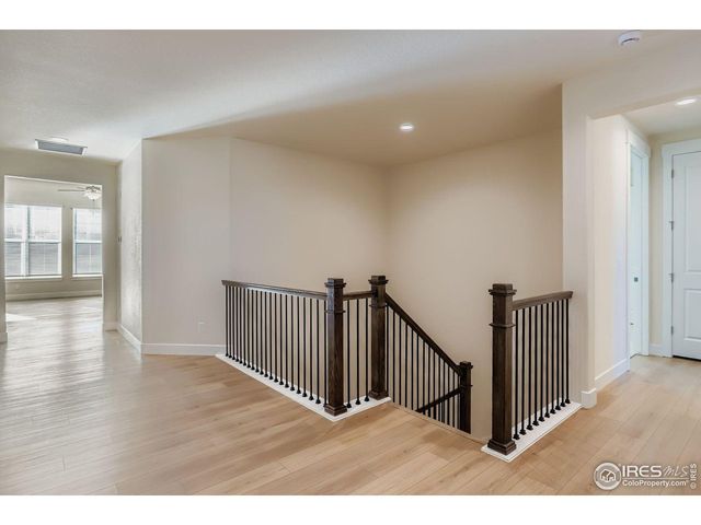 1829 Flourish Dr, Windsor, CO 80550