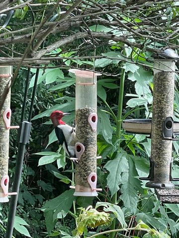 3348 Island Estates Drive, Johns Island, SC 29455