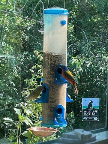 3348 Island Estates Drive, Johns Island, SC 29455