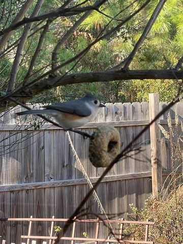 3348 Island Estates Drive, Johns Island, SC 29455