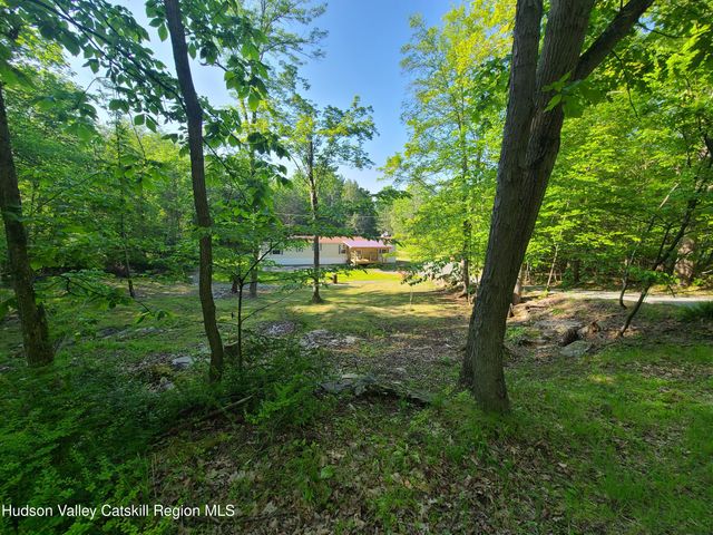 497 New Turnpike Road, Cochecton, NY 12726