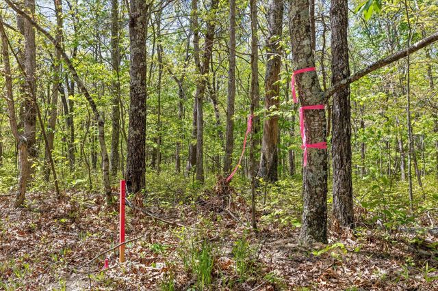 0 Deepwoods Road, Sewanee, TN 37375