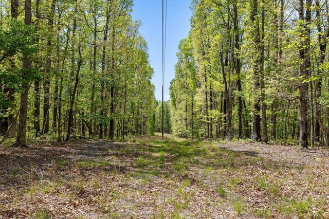0 Deepwoods Road, Sewanee, TN 37375