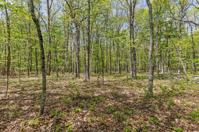 0 Deepwoods Road, Sewanee, TN 37375