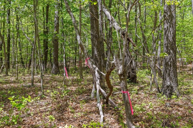 0 Deepwoods Road, Sewanee, TN 37375