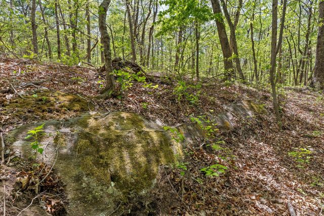 0 Deepwoods Road, Sewanee, TN 37375
