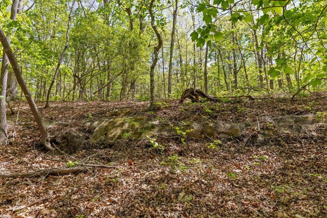 0 Deepwoods Road, Sewanee, TN 37375