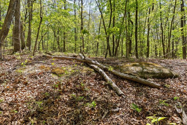0 Deepwoods Road, Sewanee, TN 37375