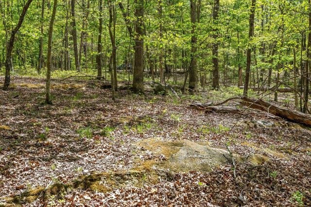 0 Deepwoods Road, Sewanee, TN 37375