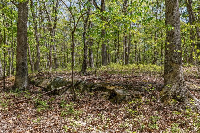 0 Deepwoods Road, Sewanee, TN 37375