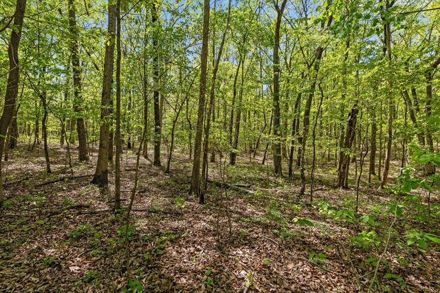 0 Deepwoods Road, Sewanee, TN 37375