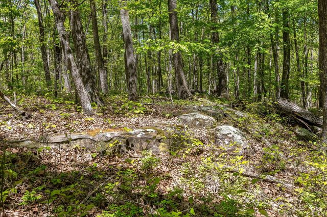 0 Deepwoods Road, Sewanee, TN 37375