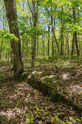 0 Deepwoods Road, Sewanee, TN 37375