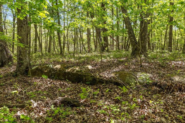 0 Deepwoods Road, Sewanee, TN 37375